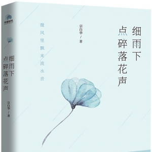 《細雨下 點碎落花聲》