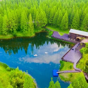 第六站：鹽城·東臺黃海森林生態(tài)旅游度假區(qū)